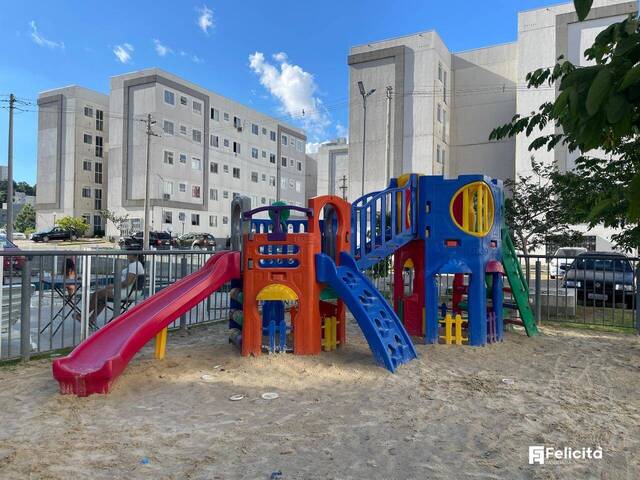 Apartamento para Venda em Caxias do Sul - 4