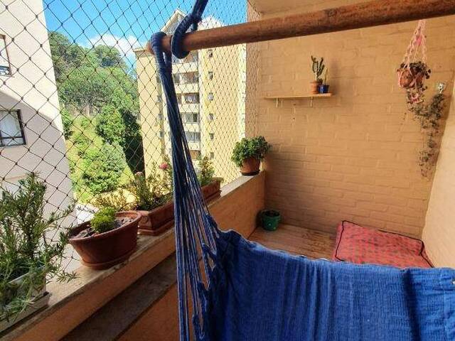 Apartamento para Venda em Caxias do Sul - 2