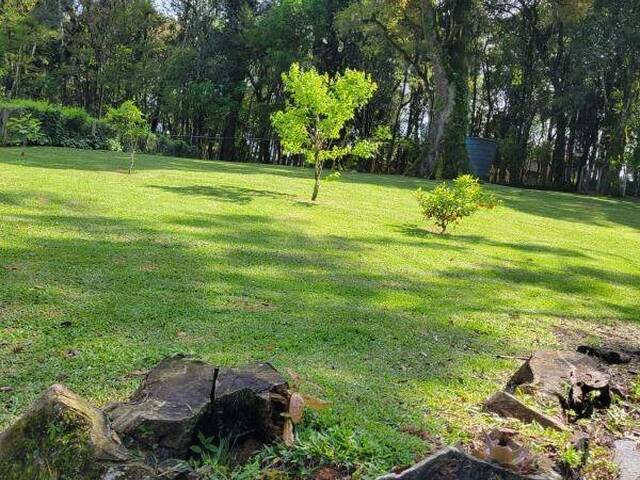 #857 - Lote para Venda em Caxias do Sul - RS