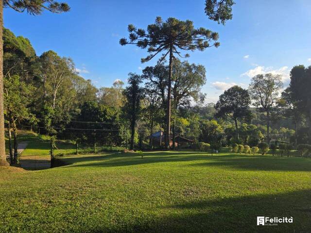 #857 - Lote para Venda em Caxias do Sul - RS