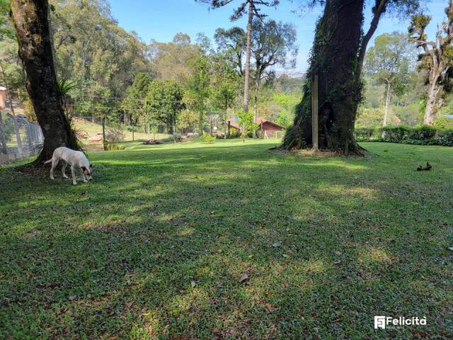 Lote para Venda em Caxias do Sul - 4