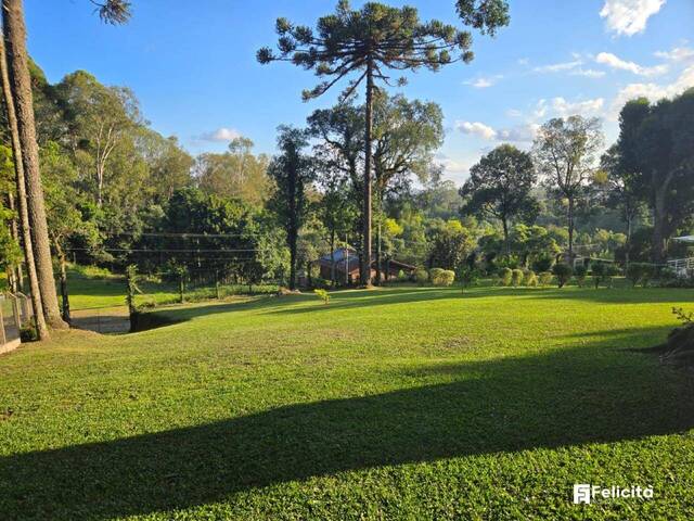 Lote para Venda em Caxias do Sul - 5