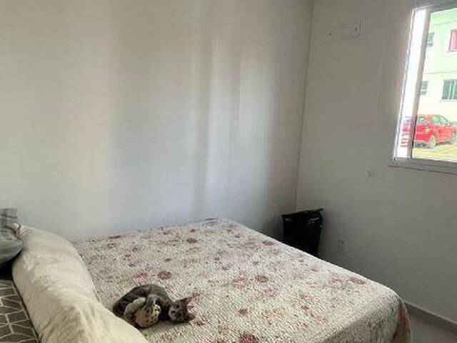 Apartamento para Venda em Caxias do Sul - 5