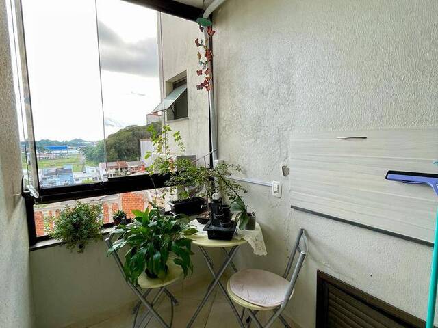 Apartamento para Venda em Caxias do Sul - 4