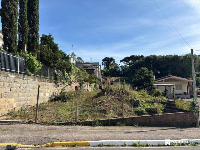 #893 - Terreno para Venda em Farroupilha - RS