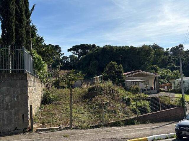 Terreno para Venda em Farroupilha - 4