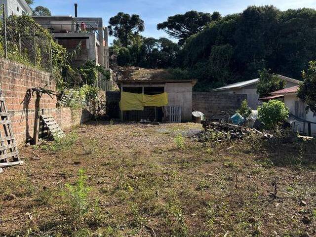 Terreno para Venda em Farroupilha - 5