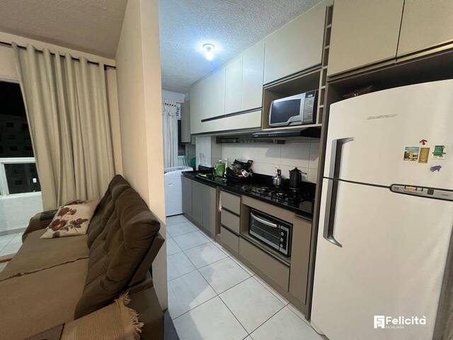 Venda em Panazzolo - Caxias do Sul