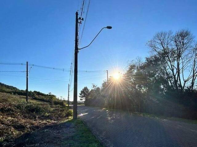 #908 - Terreno para Venda em Caxias do Sul - RS