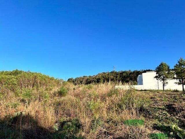 #908 - Terreno para Venda em Caxias do Sul - RS