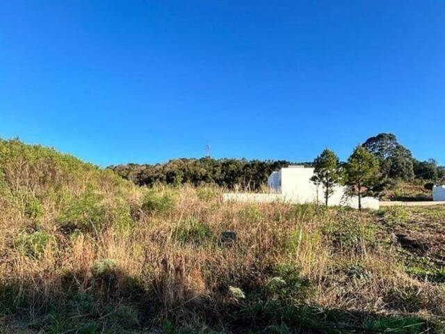 #908 - Terreno para Venda em Caxias do Sul - RS