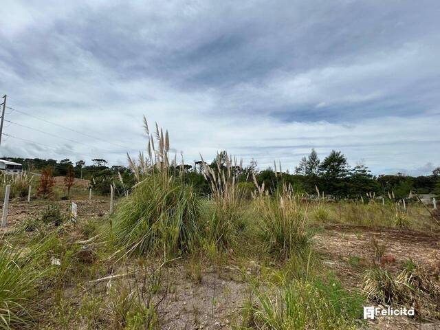 #909 - Terreno para Venda em Caxias do Sul - RS