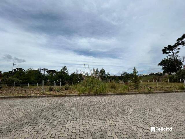 #909 - Terreno para Venda em Caxias do Sul - RS