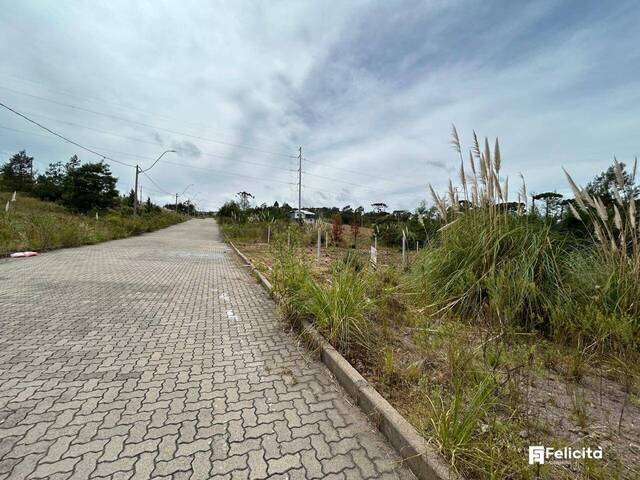 Terreno para Venda em Caxias do Sul - 4