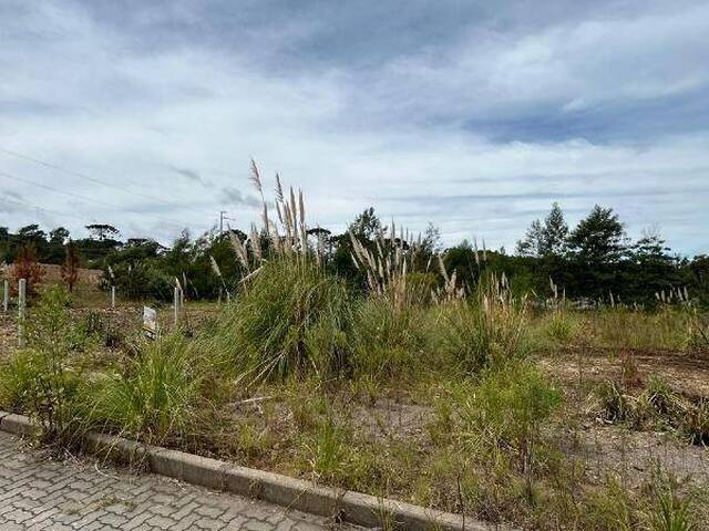 Terreno para Venda em Caxias do Sul - 5