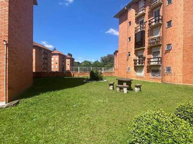 Apartamento para Venda em Caxias do Sul - 5