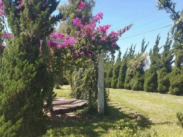 #160 - Chácara para Venda em Farroupilha - RS