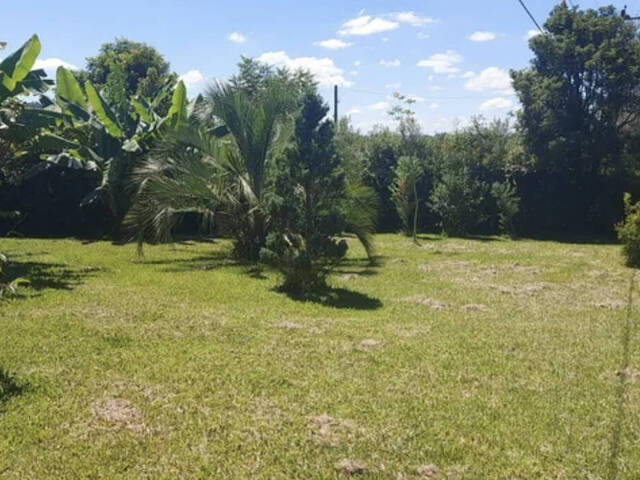 Chácara para Venda em Farroupilha - 4