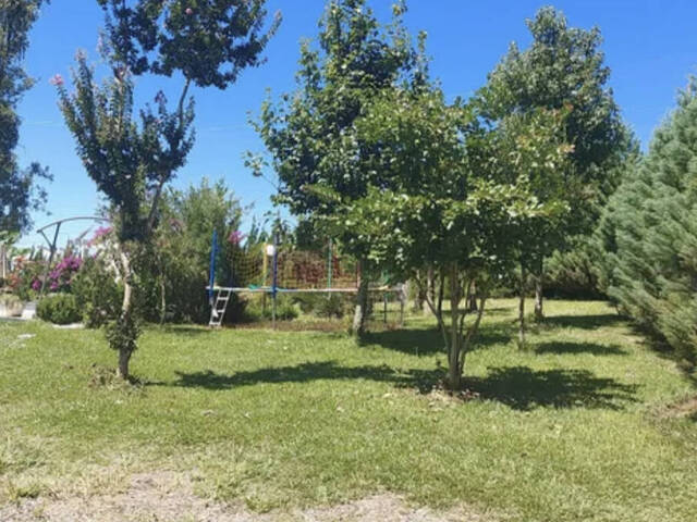 Chácara para Venda em Farroupilha - 5