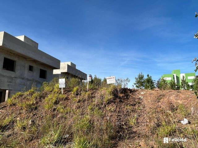 #910 - Terreno para Venda em Caxias do Sul - RS