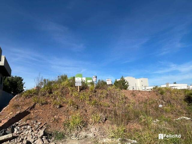 #910 - Terreno para Venda em Caxias do Sul - RS