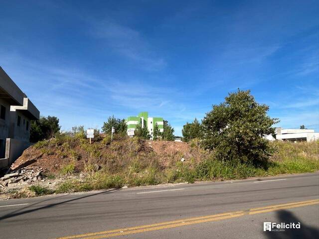 #910 - Terreno para Venda em Caxias do Sul - RS