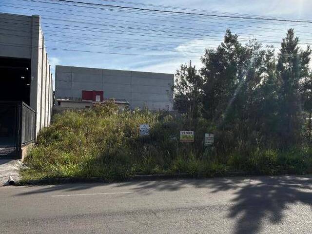 #922 - Terreno para Venda em Caxias do Sul - RS