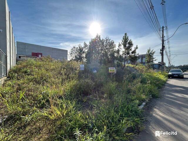 #922 - Terreno para Venda em Caxias do Sul - RS