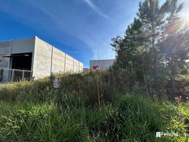 #922 - Terreno para Venda em Caxias do Sul - RS