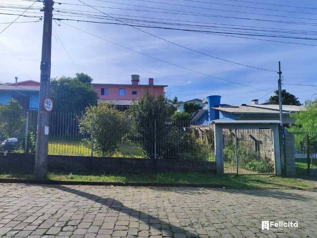 Terreno para Venda em Caxias do Sul - 4