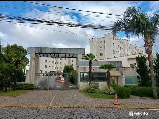 Venda em São Virgílio - Caxias do Sul