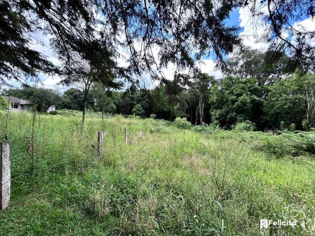 #955 - Área para Venda em Caxias do Sul - RS