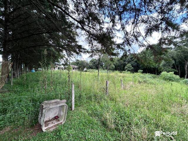 #955 - Área para Venda em Caxias do Sul - RS