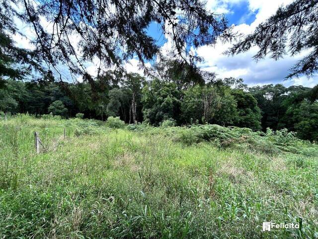 #955 - Área para Venda em Caxias do Sul - RS