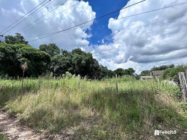 Área para Venda em Caxias do Sul - 4