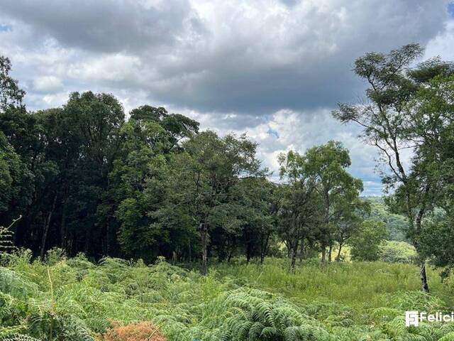 Área para Venda em Caxias do Sul - 5