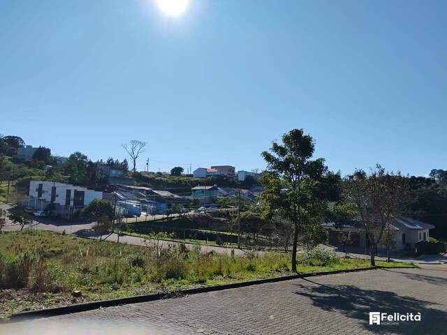 #978 - Terreno para Venda em Caxias do Sul - RS