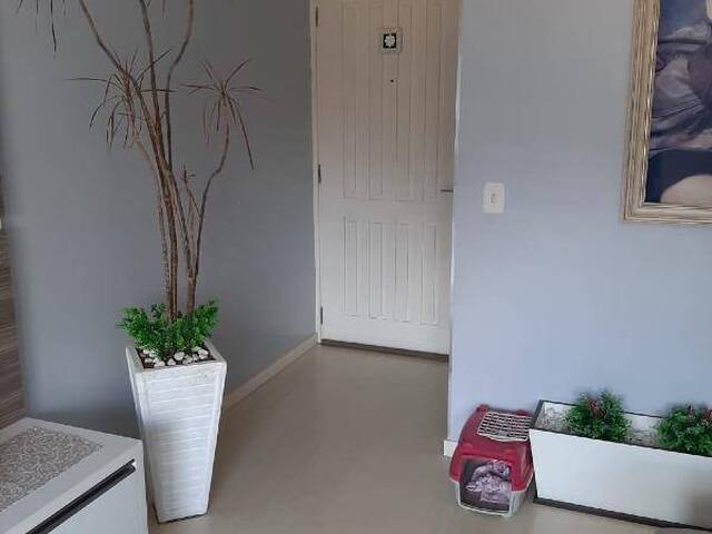 Apartamento para Venda em Caxias do Sul - 3