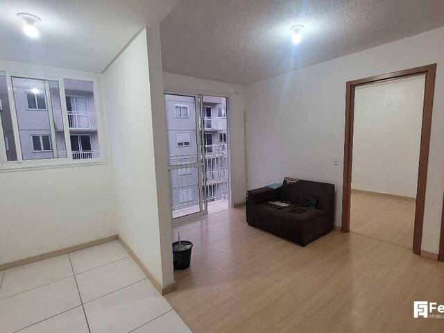 Apartamento para Venda em Caxias do Sul - 5