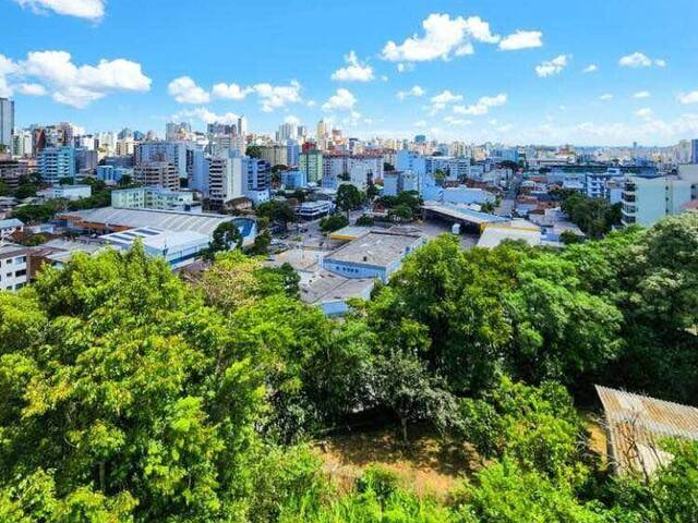 Apartamento para Venda em Caxias do Sul - 2
