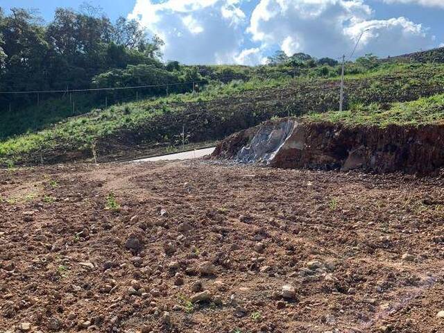 #1016 - Lote para Venda em Caxias do Sul - RS