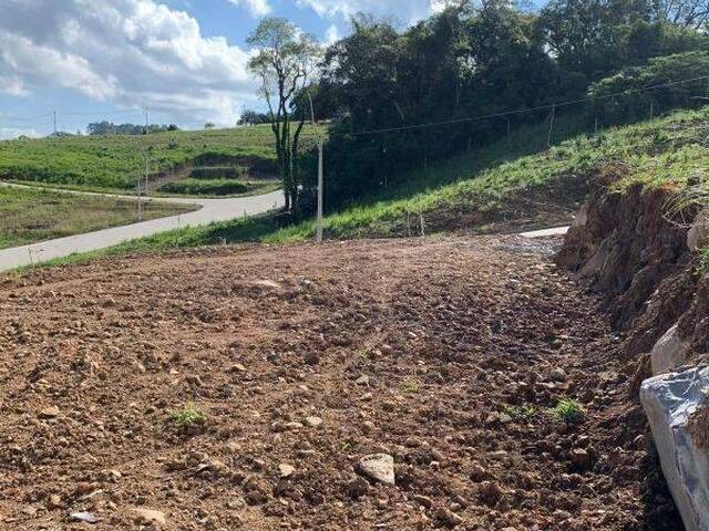 #1016 - Lote para Venda em Caxias do Sul - RS