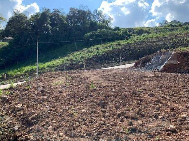 Lote para Venda em Caxias do Sul - 4