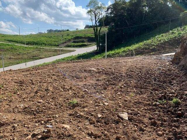 Lote para Venda em Caxias do Sul - 5