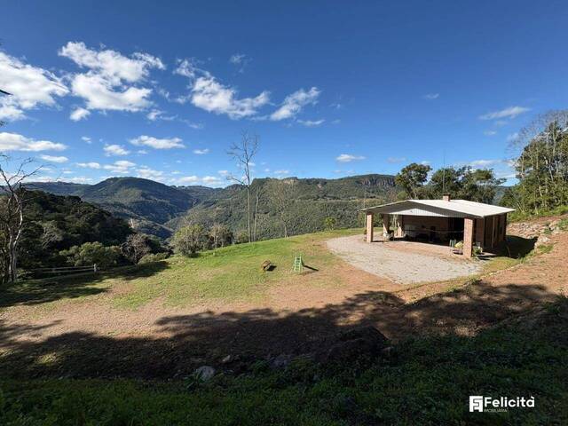 #1024 - Chácara para Venda em Caxias do Sul - RS