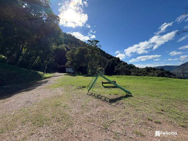 Chácara para Venda em Caxias do Sul - 5