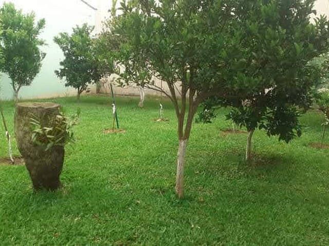 Casa para Venda em Caxias do Sul - 2