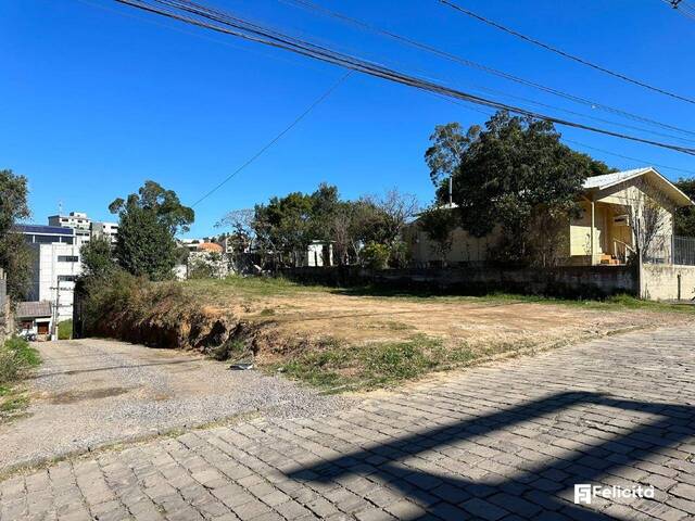 Terreno para Venda em Caxias do Sul - 4