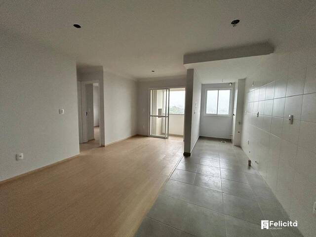 Venda em Panazzolo - Caxias do Sul