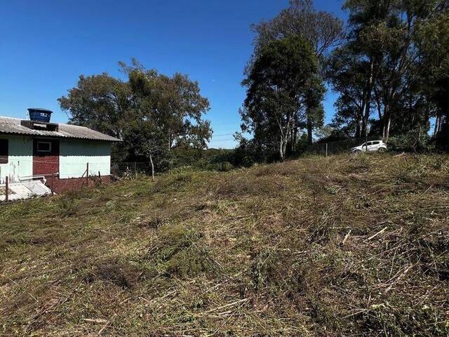 #1102 - Terreno para Venda em Caxias do Sul - RS